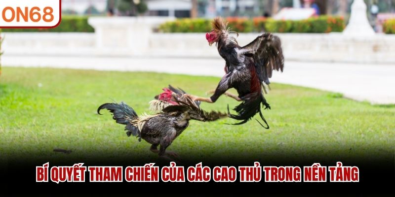 Bí quyết tham chiến của các cao thủ trong nền tảng