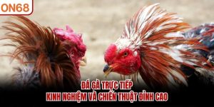 Đá gà trực tiếp