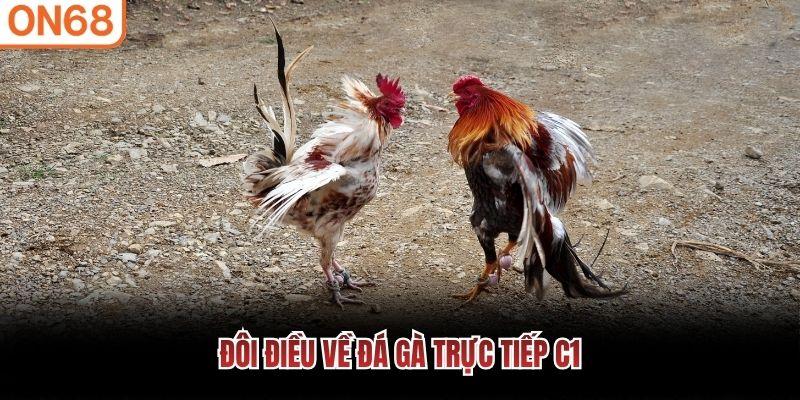 Đ&ocirc;i điều về đ&aacute; g&agrave; trực tiếp C1