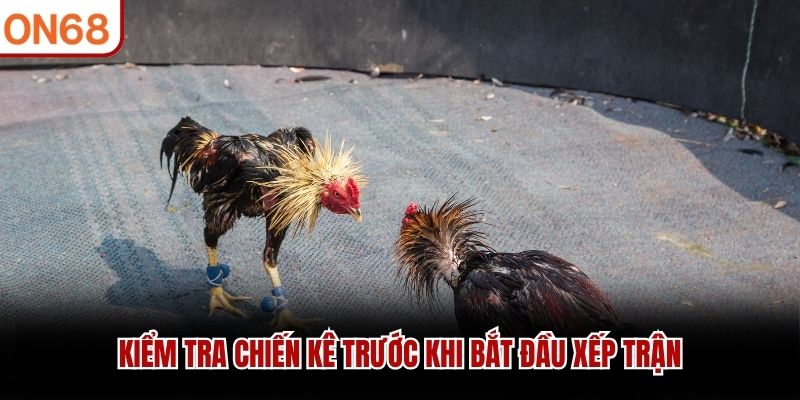 Kiểm tra chiến k&ecirc; trước khi bắt đầu xếp trận