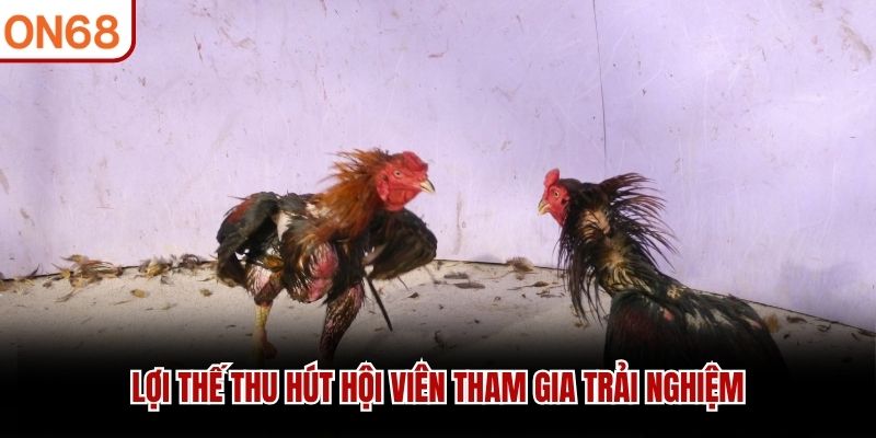 Lợi thế thu hút hội viên tham gia trải nghiệm