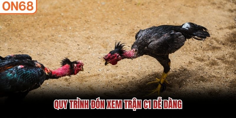 Quy tr&igrave;nh đ&oacute;n xem trận C1 dễ d&agrave;ng