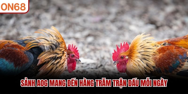 Sảnh AOG mang đến hàng trăm trận đấu mỗi ngày