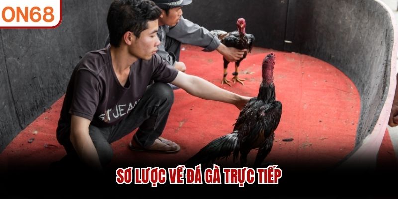 Sơ lược về đá gà trực tiếp