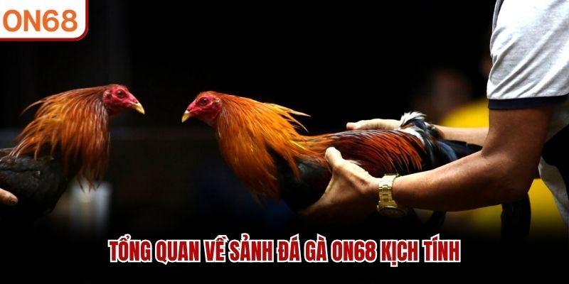 Tổng quan về sảnh đá gà ON68 kịch tính